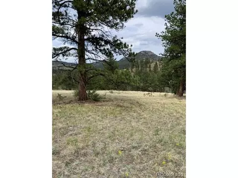 305 Happy Top Trl, Bailey, CO 80421 photo 23
