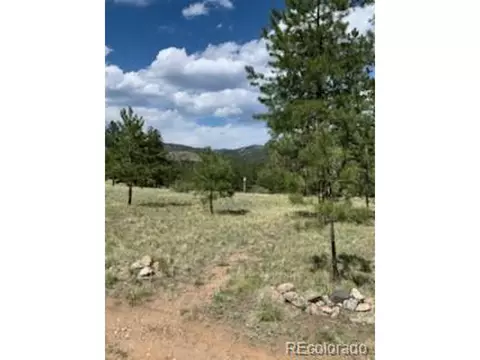 305 Happy Top Trl, Bailey, CO 80421 photo 22