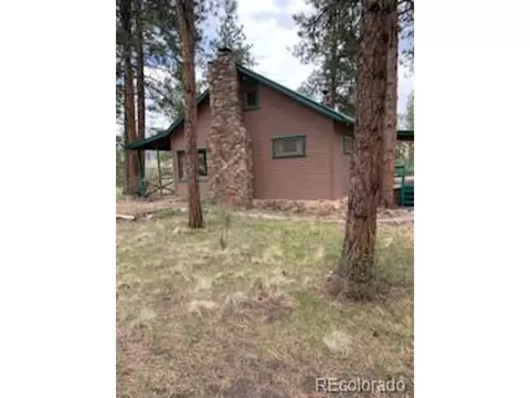 305 Happy Top Trl, Bailey, CO 80421 photo 17