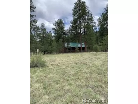 305 Happy Top Trl, Bailey, CO 80421 photo 21