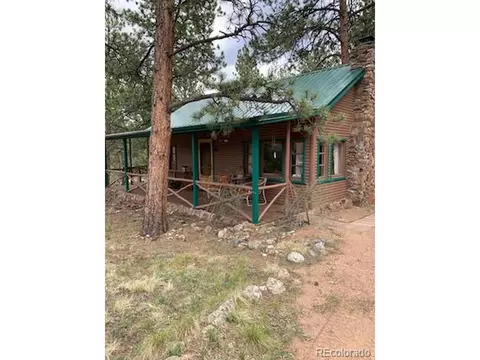 305 Happy Top Trl, Bailey, CO 80421 photo 26