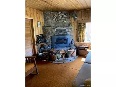 305 Happy Top Trl, Bailey, CO 80421 photo 5