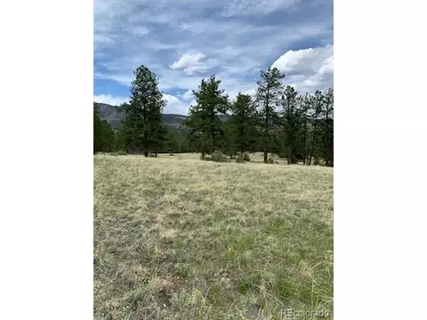 305 Happy Top Trl, Bailey, CO 80421 photo 20