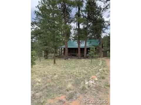 305 Happy Top Trl, Bailey, CO 80421 photo 19