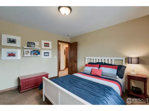 5685 Summerlyn Ct, Windsor, CO 80550 photo 28