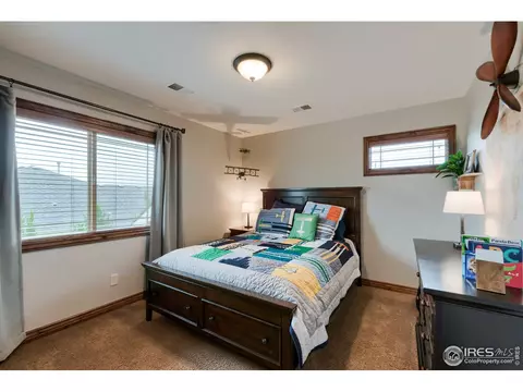 5685 Summerlyn Ct, Windsor, CO 80550 photo 24