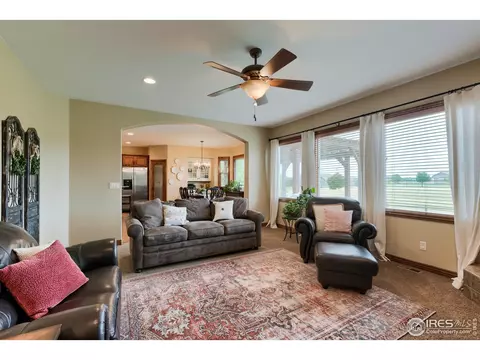 5685 Summerlyn Ct, Windsor, CO 80550 photo 14