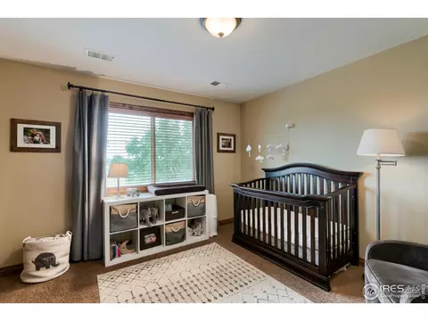 5685 Summerlyn Ct, Windsor, CO 80550 photo 23