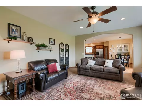 5685 Summerlyn Ct, Windsor, CO 80550 photo 15