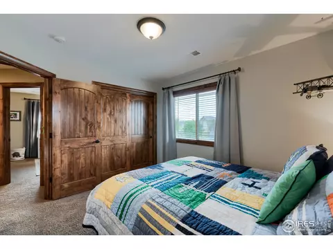 5685 Summerlyn Ct, Windsor, CO 80550 photo 25