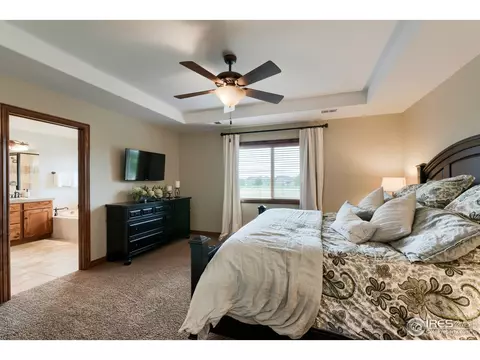 5685 Summerlyn Ct, Windsor, CO 80550 photo 19