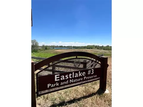 1012 E 133rd Way, Thornton, CO 80241 photo 41