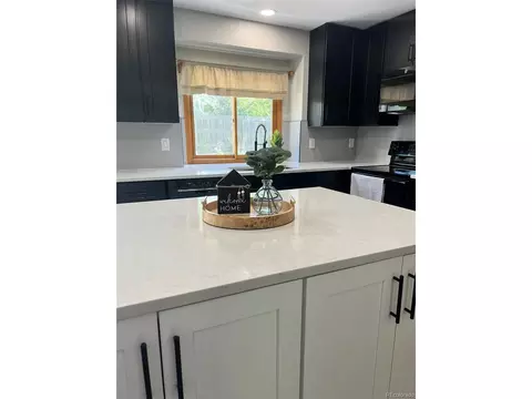 1012 E 133rd Way, Thornton, CO 80241 photo 14