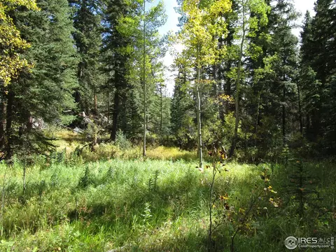 193 Bear Pl, Drake, CO 80515 photo 32