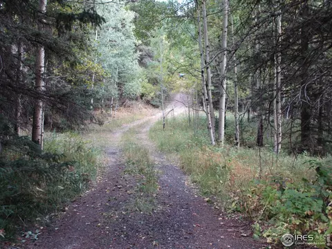 193 Bear Pl, Drake, CO 80515 photo 16
