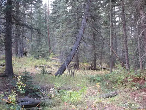 193 Bear Pl, Drake, CO 80515 photo 17
