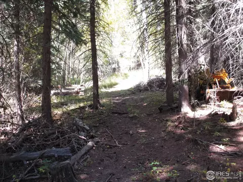 193 Bear Pl, Drake, CO 80515 photo 26