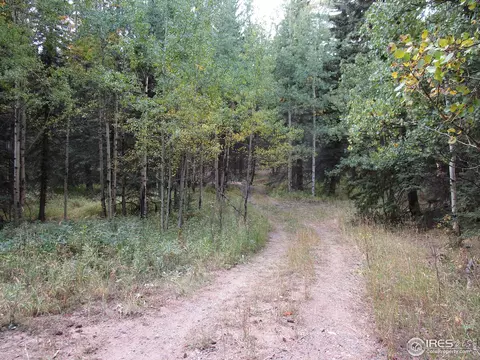 193 Bear Pl, Drake, CO 80515 photo 9