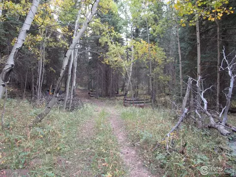 193 Bear Pl, Drake, CO 80515 photo 36