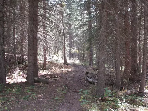 193 Bear Pl, Drake, CO 80515 photo 21