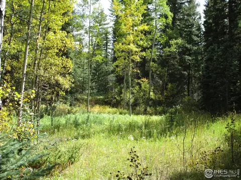 193 Bear Pl, Drake, CO 80515 photo 25