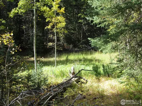 193 Bear Pl, Drake, CO 80515 photo 31
