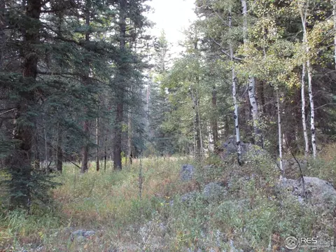 193 Bear Pl, Drake, CO 80515 photo 14