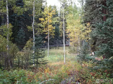 193 Bear Pl, Drake, CO 80515 photo 30
