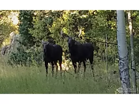 193 Bear Pl, Drake, CO 80515 photo 2