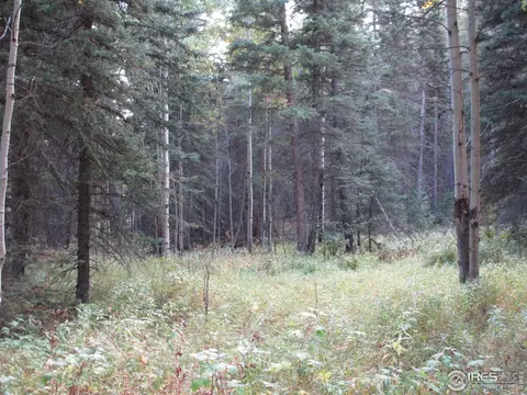 193 Bear Pl, Drake, CO 80515 photo 13
