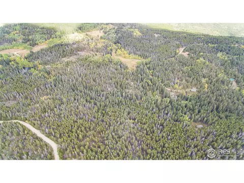 193 Bear Pl, Drake, CO 80515 photo 7
