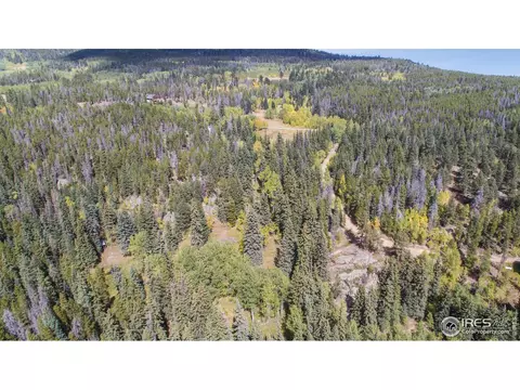 193 Bear Pl, Drake, CO 80515 photo 5