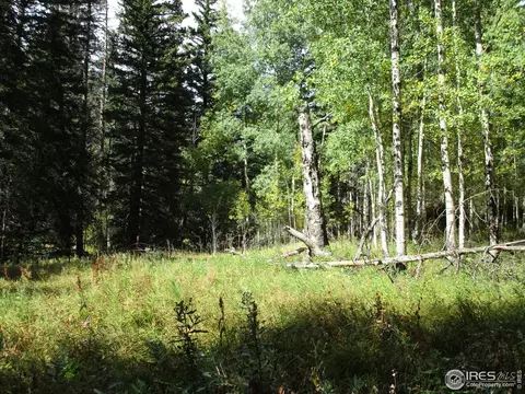193 Bear Pl, Drake, CO 80515 photo 23