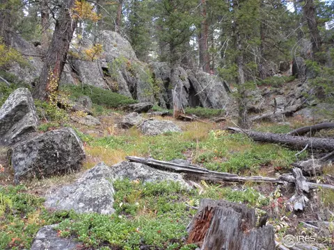193 Bear Pl, Drake, CO 80515 photo 35