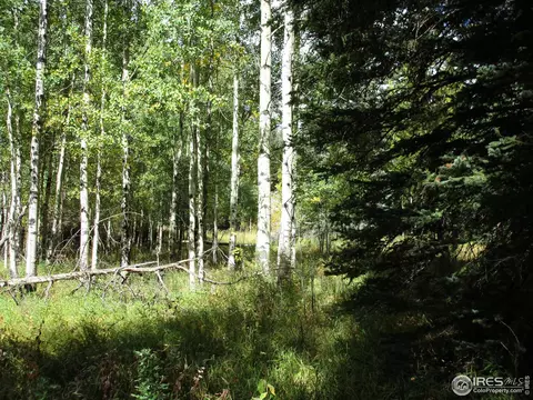 193 Bear Pl, Drake, CO 80515 photo 22