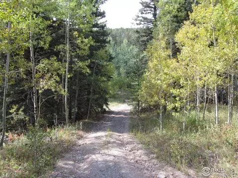 193 Bear Pl, Drake, CO 80515 photo 8