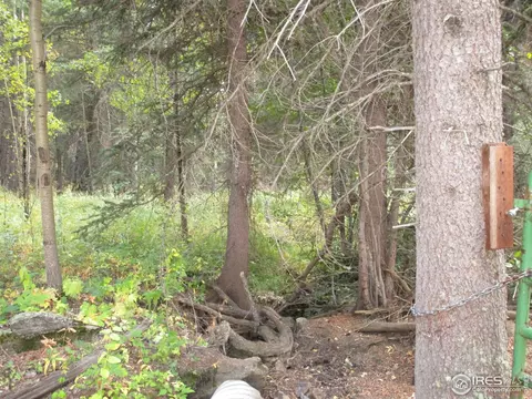 193 Bear Pl, Drake, CO 80515 photo 19