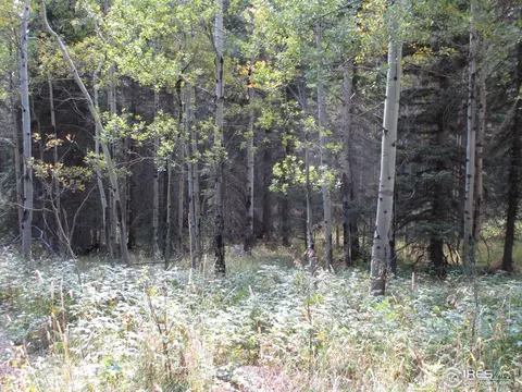 193 Bear Pl, Drake, CO 80515 photo 10