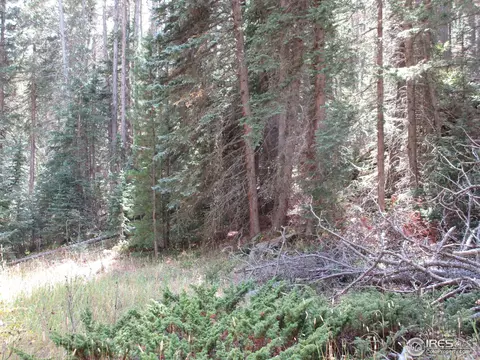 193 Bear Pl, Drake, CO 80515 photo 24