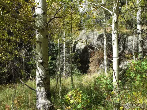 193 Bear Pl, Drake, CO 80515 photo 12