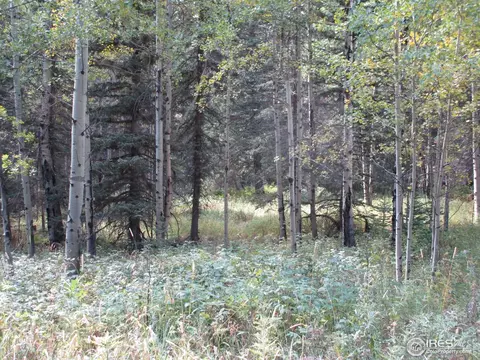 193 Bear Pl, Drake, CO 80515 photo 15