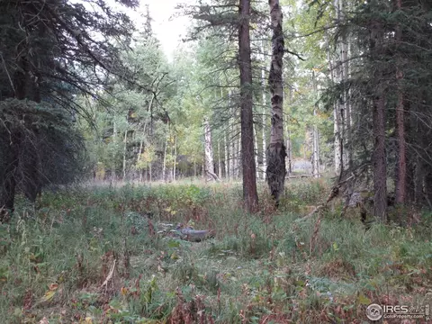 193 Bear Pl, Drake, CO 80515 photo 18