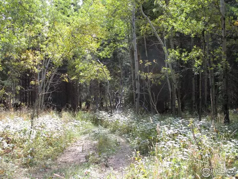 193 Bear Pl, Drake, CO 80515 photo 11