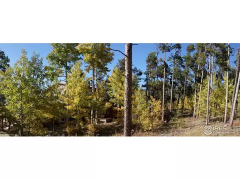 405 Long Trail Rd, Black Hawk, CO 80422 photo 28