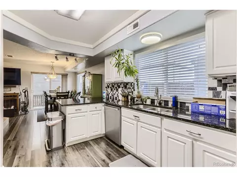 21517 E 41st Pl, Denver, CO 80249 photo 7