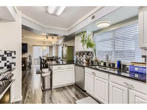 21517 E 41st Pl, Denver, CO 80249 photo 10