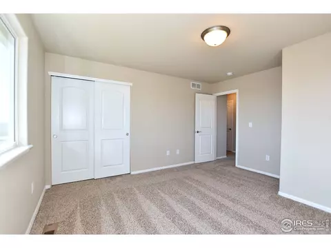 806 Mt Sneffels Ave, Windsor, CO 80550 photo 33