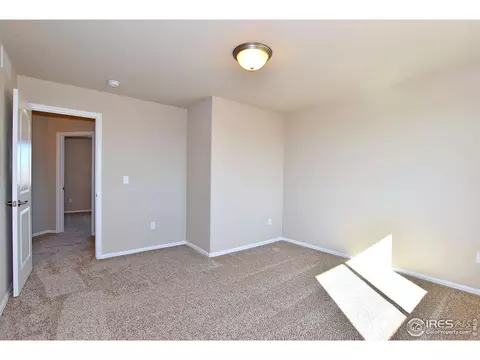 806 Mt Sneffels Ave, Windsor, CO 80550 photo 35