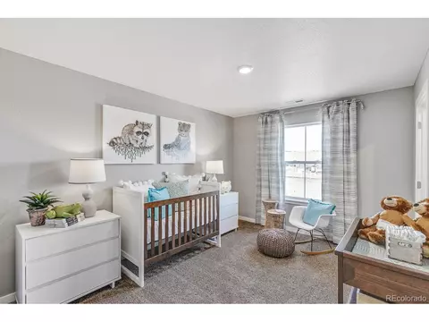 461 3rd St, Severance, CO 80550 photo 29