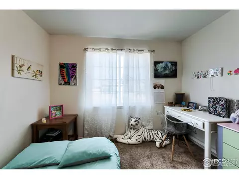 5696 Waverley Ave, Firestone, CO 80504 photo 26